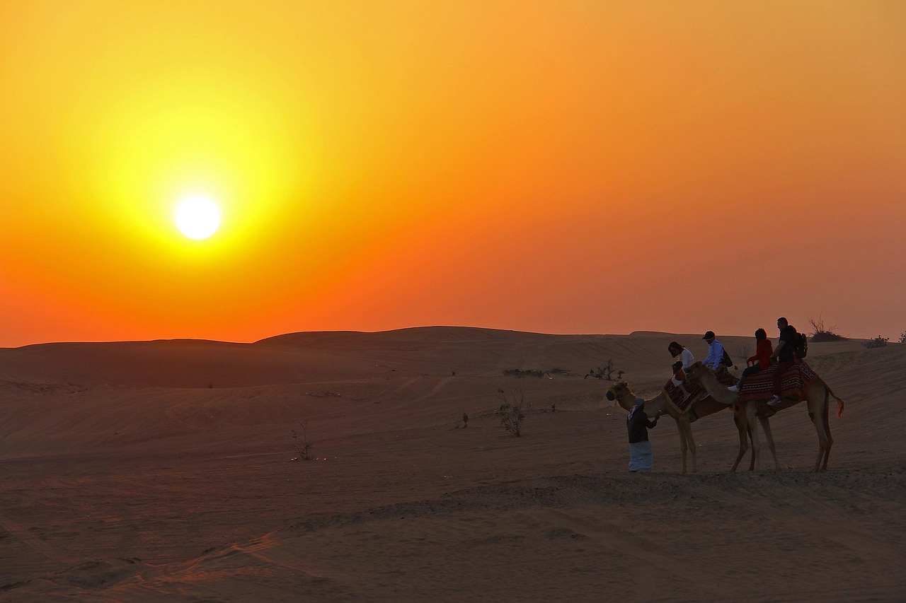 camel ride agafay